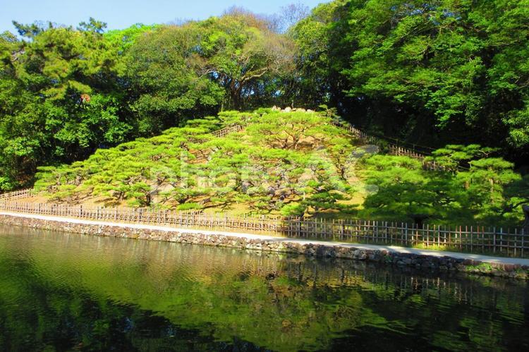 香川県-栗林公園-飛来峰 栗林公園,公園,特別名勝の写真素材