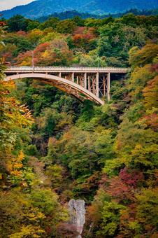 宮城県　鳴子峡の秋の風景 宮城,宮城県,大崎市の写真素材