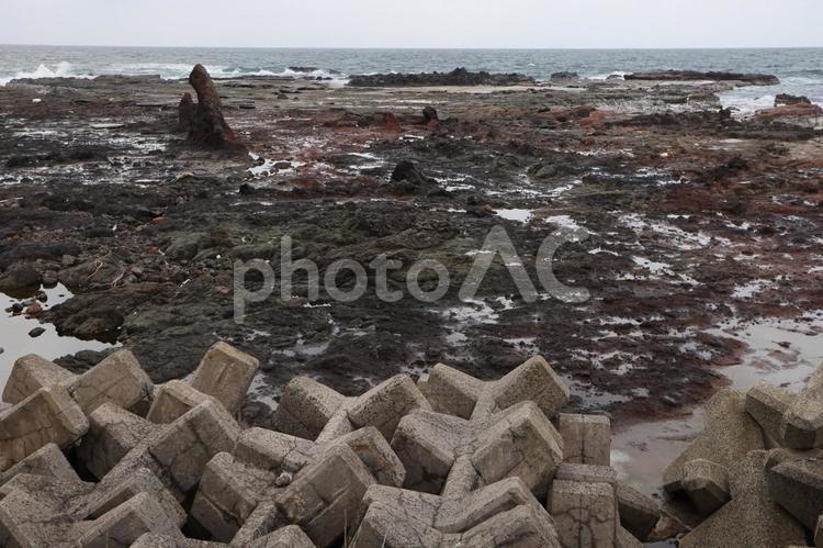 能登半島地震2カ月後の隆起した海岸 能登半島地震,能登地震,震災の写真素材