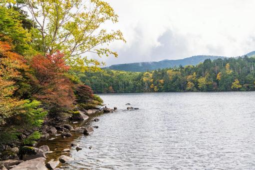 八ヶ岳白駒池 紅葉の池 八ヶ岳白駒池 紅葉の池 日本,長野県,南佐久郡の写真素材