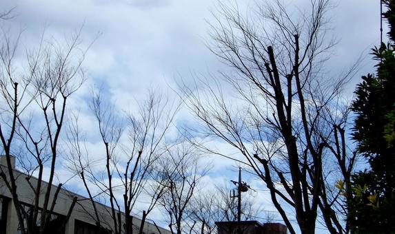 四月の雲-2 四月の雲-2 四月,青空,空の写真素材