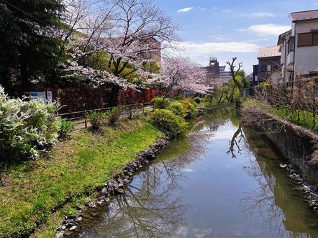 古隅田川緑道の風景 古隅田川緑道の風景 小菅,古隅田川緑道,東京都の写真素材