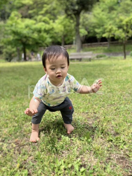 芝生を踏みしめて立つ子供 子供,赤ちゃん,家族の写真素材