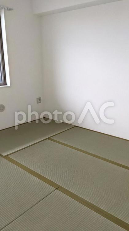 白い壁の和室 和室,畳,日本の写真素材