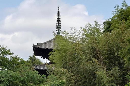 奈良県-當麻寺-国宝-東塔 奈良県-當麻寺-国宝-東塔の写真