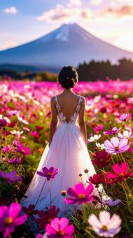 コスモスの花畑のウェデイングフォト 秋 コスモスの花畑のウェデイングフォト 秋の写真