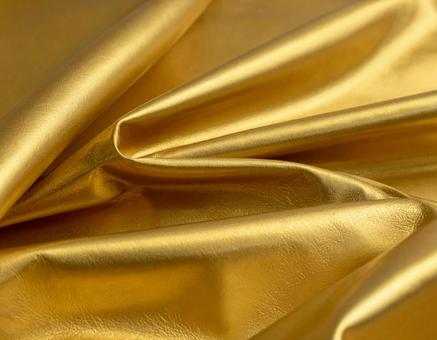 金の革01の写真