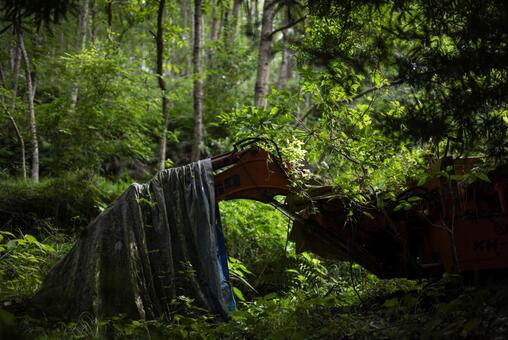 森の中のショベルカー 林業,森,林道の写真素材