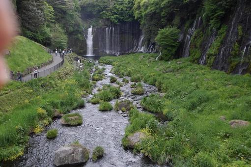 自然豊かな滝から流れる渓谷 自然豊かな滝から流れる渓谷 緑,新緑,散歩道の写真素材