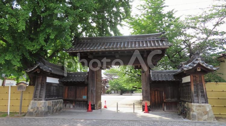 古渡城　城跡に建つ東別院の東門 古渡城,織田信長,元服の写真素材