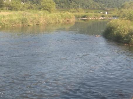 川の流れ・日本の自然風景 川の流れ・日本の自然風景 風景,川,自然の写真素材