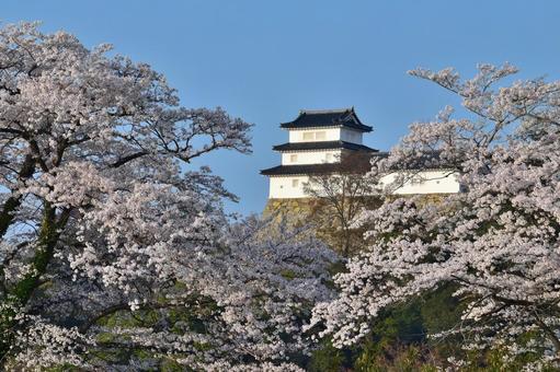 彦根城 彦根城 城,彦根,彦根城の写真素材