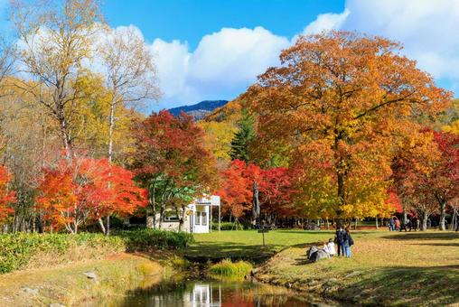 北海道の紅葉 北海道の紅葉 紅葉,秋,池の写真素材