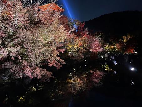 紅葉ライトアップ 水面に映る夜景 紅葉ライトアップ 水面に映る夜景の写真