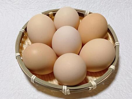 さくらたまご 卵,たまご,生卵の写真素材