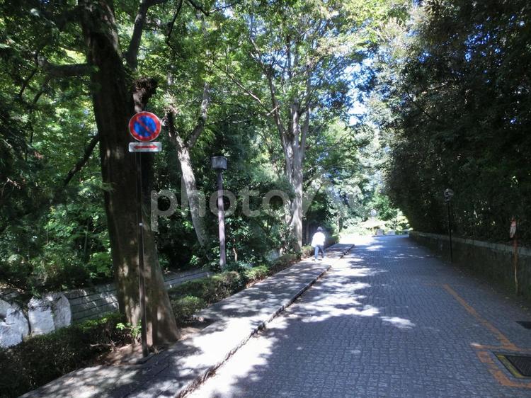 鷹見泉石記念館の風景-10 鷹見泉石記念館,茨城県古河市,古河藩の写真素材