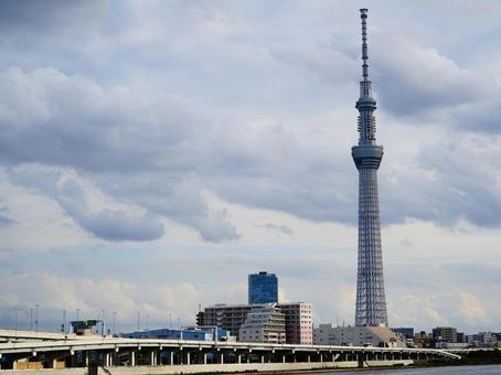 隅田川から望むスカイツリー 隅田川から望むスカイツリー スカイツリー,東京スカイツリー,東京の写真素材