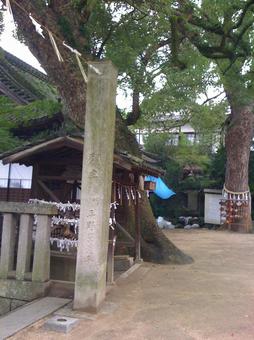 尾道の神社 尾道の神社の写真