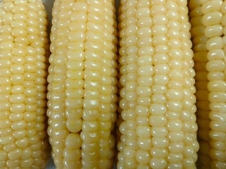 トウモロコシ 茹でたチャルオクスス トウモロコシ 茹でたチャルオクススの写真