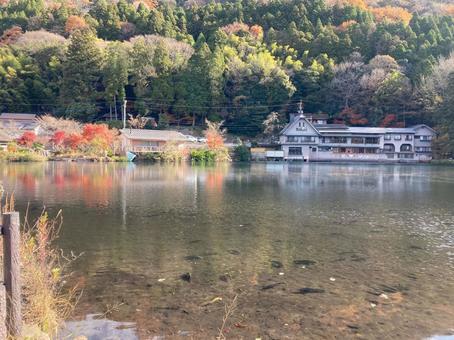 池のそばのレストラン 池のそばのレストラン レストラン,湖畔,池の写真素材