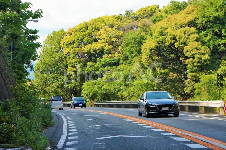 新緑のドライブ　左カーブ　下り坂 新緑,カーブ,左カーブの写真素材