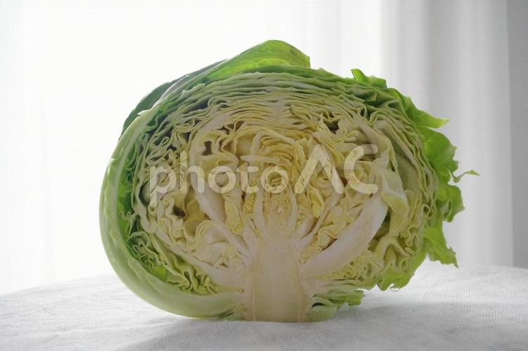 ぎゅっと詰まった新鮮さ｜キャベツ断面 キャベツ,アブラナ科,断面の写真素材
