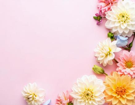お花のフレーム お花のフレームの写真