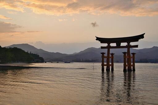 宮島：厳島神社・大鳥居・夕焼け 宮島,厳島神社,日本三景の写真素材