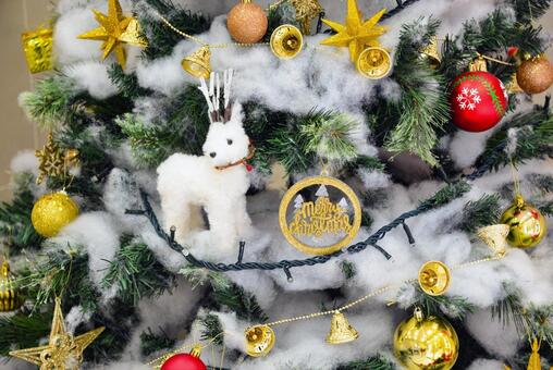 クリスマスオーナメント オーナメント,クリスマス,クリスマスツリーの写真素材