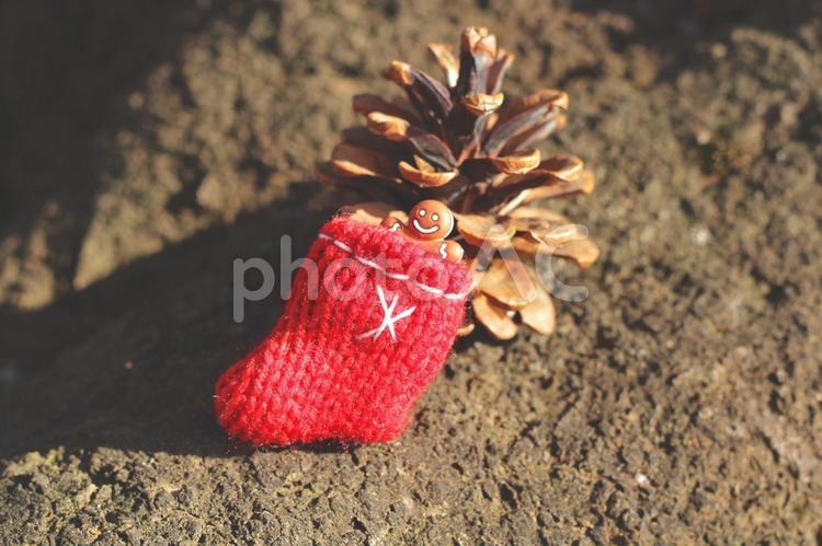 赤い靴下と松ぼっくり クリスマス,メリークリスマス,プレゼントの写真素材