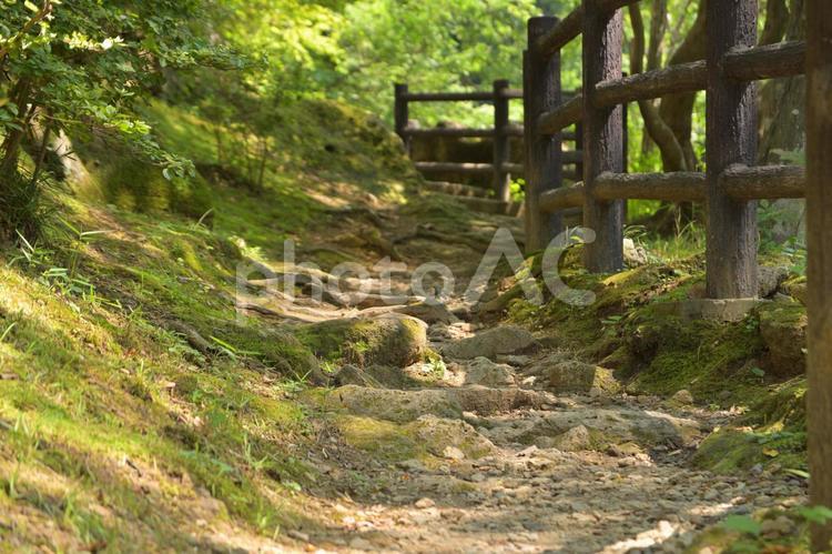 宮城県仙台市　秋保町　磊々峡 磊々峡,遊歩道,細道の写真素材
