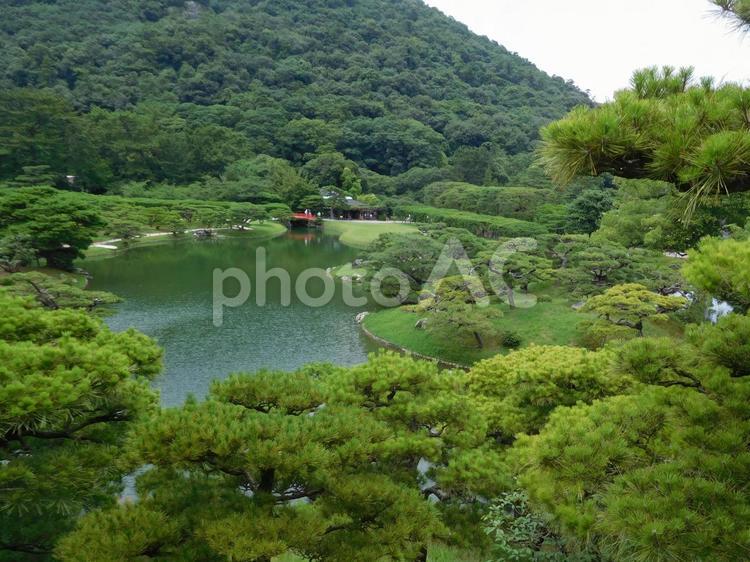 栗林公園・夏 栗林公園,公園,香川の写真素材