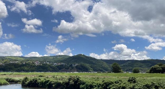 夏の景色 夏の景色の写真
