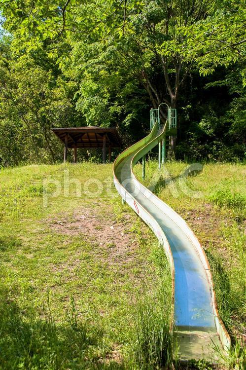 緑の中のすべり台 すべり台,一庫ダム,公園の写真素材