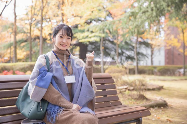 秋の公園にいる会社員の女性 秋,女性,olの写真素材