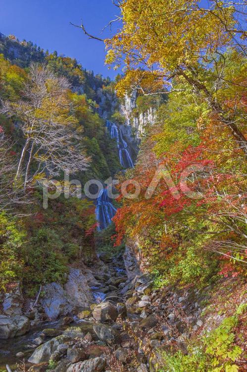 羽衣の滝 羽衣の滝,滝,紅葉の写真素材
