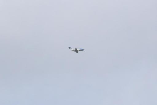 The shadow of an aircraft cutting through the cloudy sky, airplane, aircraft, aircraft, JPG