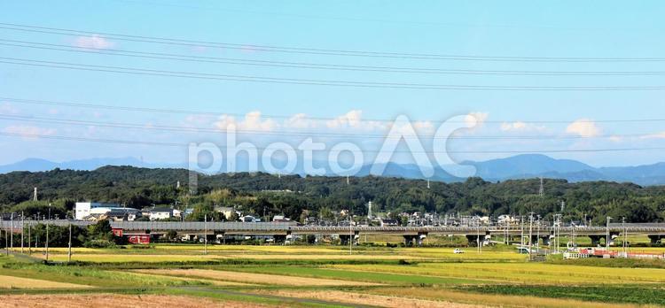 黄色く広がる平野と第二東名高速道路 平野,黄色,畑の写真素材