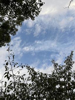 秋の夕暮の写真