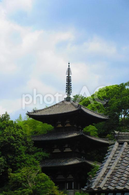 奈良県-當麻寺-国宝-東塔 當麻寺,寺,二上山の写真素材