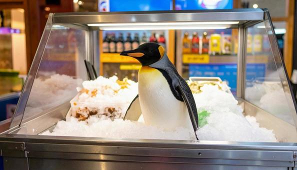 Penguins in the freezer because it was too hot, penguin, freezing, case, JPG