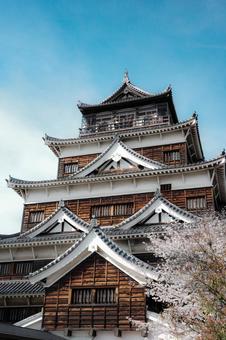 桜 桜,広島市,広島城の写真素材