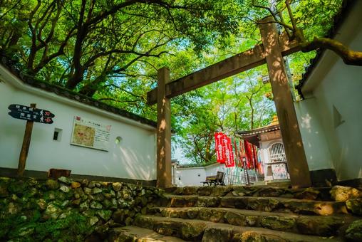 【岐阜】岐阜城の周辺 2025 【岐阜】岐阜城の周辺 2025 岐阜,岐阜公園,パワースポットの写真素材