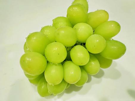 シャインマスカット シャインマスカット,ぶどう,フルーツの写真素材