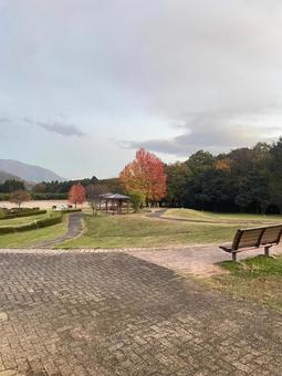 マキノ高原の風景の写真