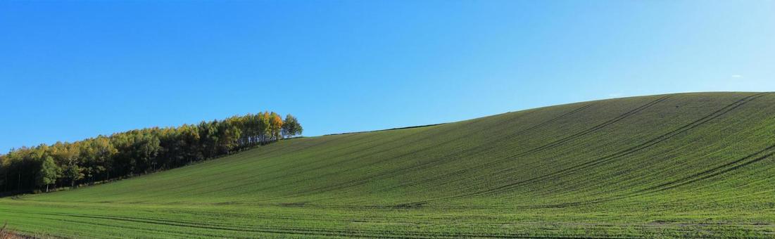 Biei Hill with a beautiful curve (wide photo), JPG