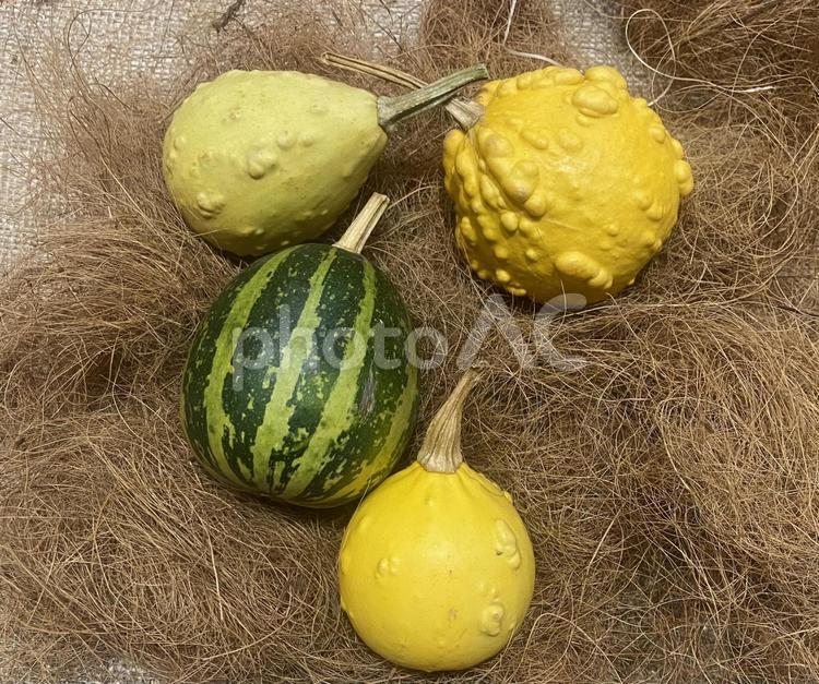 くだもの　スイカ　洋梨 くだもの,果実,スイカの写真素材