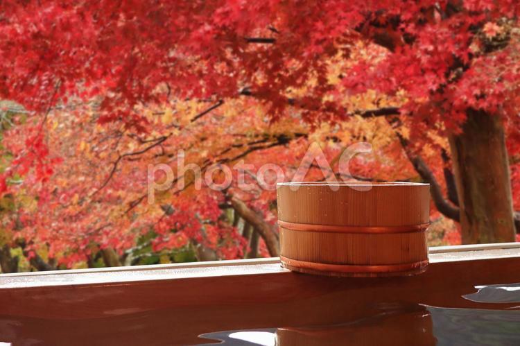 紅葉と温泉のイメージ 温泉,露天風呂,旅の写真素材