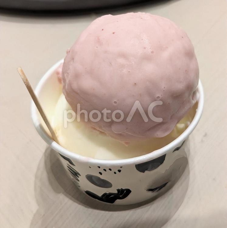 アイスは力となる 食べ物,アイス,スイーツの写真素材