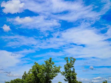 青い空と白い雲 青い空と白い雲の写真